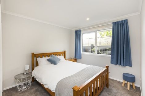 Photo of property in 17c Alfred Street, Roslyn, Palmerston North, 4414