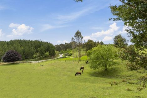 Photo of property in 245 Mangatoi Road, Oropi, Tauranga, 3173