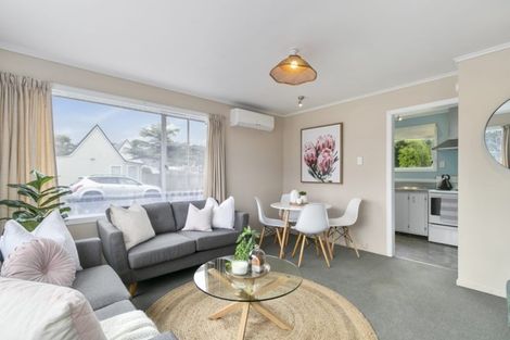 Photo of property in 1/31 Campbell Terrace, Petone, Lower Hutt, 5012