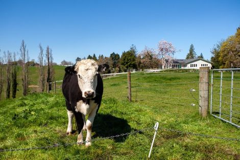 Photo of property in 306 Morgan Road, Matamata, 3472