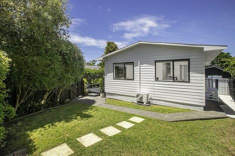 Photo of property in 216b Meola Road, Point Chevalier, Auckland, 1022