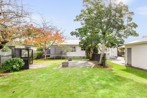 Photo of property in 313 Frimley Avenue, Frimley, Hastings, 4120