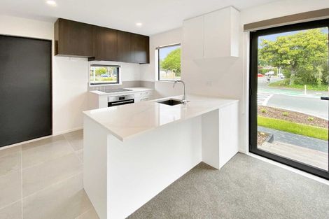 Photo of property in 1/25 Marlborough Street, Phillipstown, Christchurch, 8011