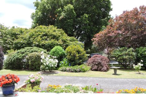 Photo of property in 6 Burwood Road, Matamata, 3400