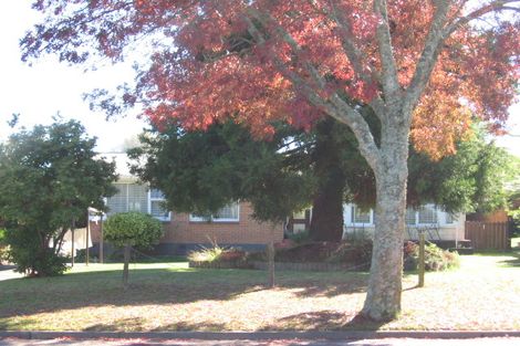 Photo of property in 133 Arapuni Street, Putaruru, 3411