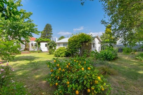 Photo of property in 97 Renall Street, Masterton, 5810