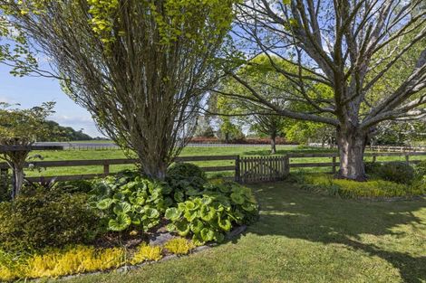 Photo of property in 155 Marshmeadow Road, Newstead, Hamilton, 3286