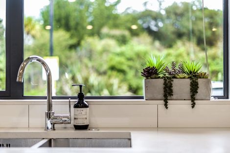 Photo of property in 36 Ti Kouka Lane, Sandringham, Auckland, 1025