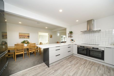 Photo of property in 481 Ruahine Street, Terrace End, Palmerston North, 4410