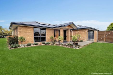 Photo of property in 127 Grove Street, Tinwald, Ashburton, 7700