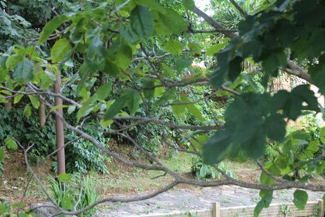 Photo of property in 7 Utuhia Place, Ohakune, 4625