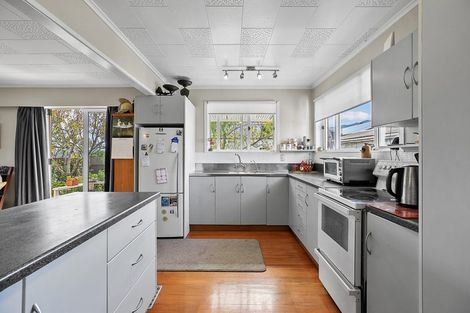 Photo of property in 116 Mackay Street, Thames, 3500