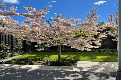 Photo of property in 131b Clyde Road, Ilam, Christchurch, 8041