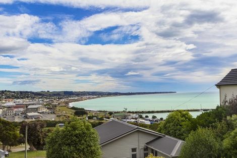 Photo of property in 31a Test Street, South Hill, Oamaru, 9400