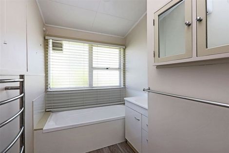 Photo of property in 405a Burnett Street, Mahora, Hastings, 4120