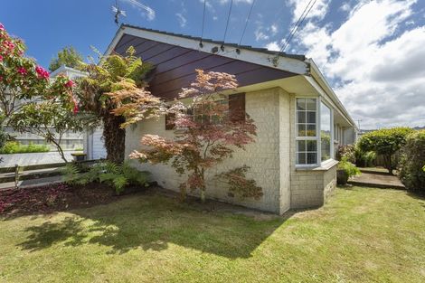 Photo of property in 28a Belgrave Crescent, Kaikorai, Dunedin, 9010