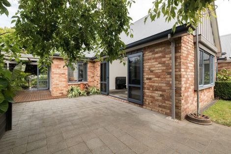 Photo of property in 3 Lanark Place, Bethlehem, Tauranga, 3110