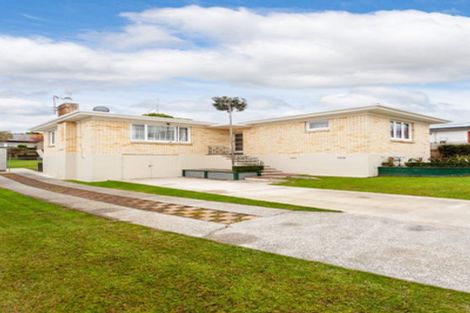 Photo of property in 28 Station Street, Tirau, 3410