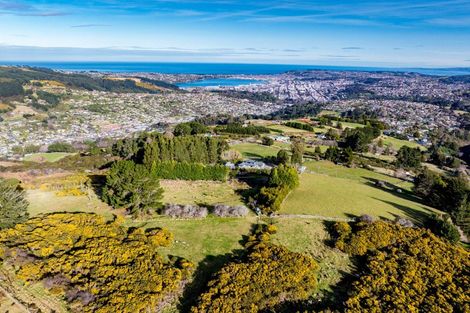 Photo of property in 165 Campbells Road, Pine Hill, Dunedin, 9010