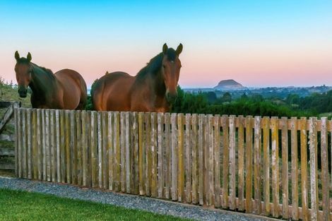 Photo of property in 177c Crawford Road, Minden, Tauranga, 3171