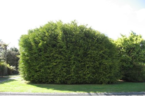 Photo of property in 9 Isobel Street, Acacia Bay, Taupo, 3330