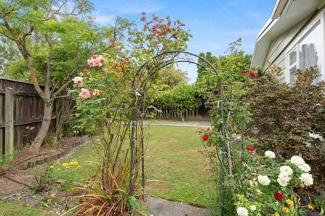 Photo of property in 14 Mcfarlane Place, Springlands, Blenheim, 7201