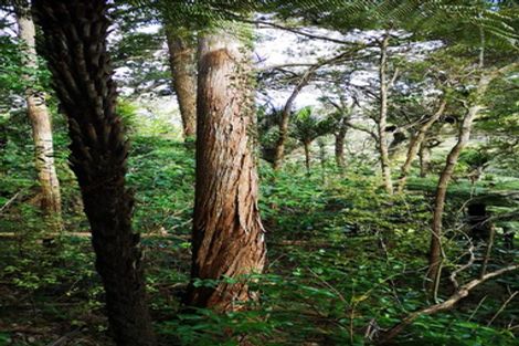 Photo of property in 26 Pacific Bay Road, Tutukaka, Whangarei, 0173