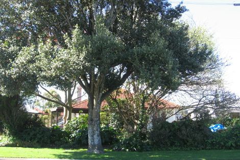 Photo of property in 21 Judea Road, Judea, Tauranga, 3110