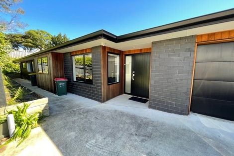 Photo of property in 58b Lorna Street, Lynmouth, New Plymouth, 4310