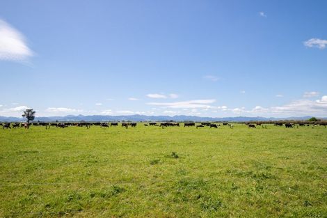 Photo of property in 104 Pipiroa Road, Ngatea, 3503