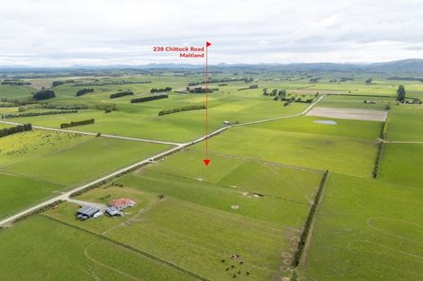 Photo of property in 238 Chittock Road, Maitland, Gore, 9773