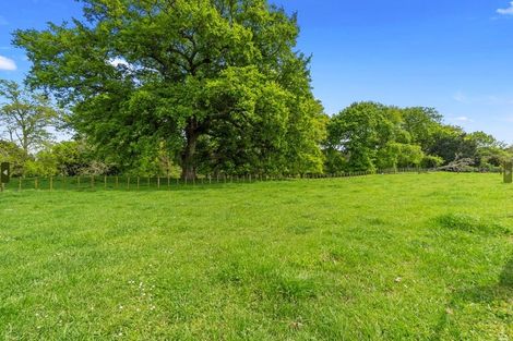 Photo of property in 81c Horrell Road, Morrinsville, 3374