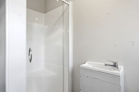 Photo of property in 9 Larsen Road, Panmure, Auckland, 1072