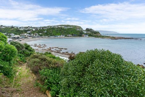 Photo of property in 100 Owhiro Bay Parade, Owhiro Bay, Wellington, 6023