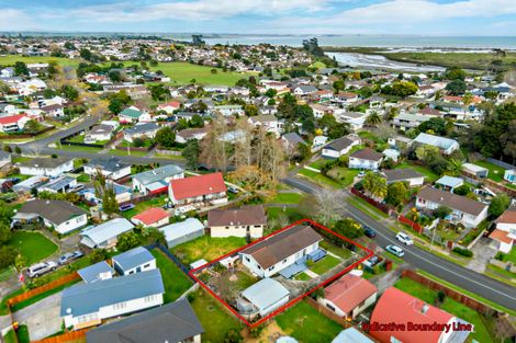 Photo of property in 55 Moncrieff Avenue, Clendon Park, Auckland, 2103