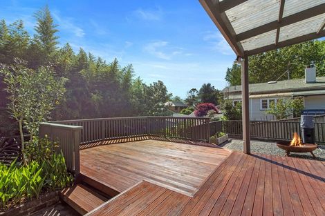 Photo of property in 5 Marne Street, Claudelands, Hamilton, 3214