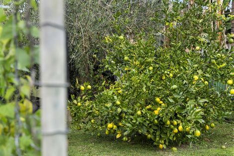 Photo of property in 160 Rosebank Road, Avondale, Auckland, 1026