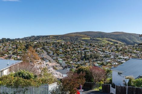 Photo of property in 11 Hereford Street, Roslyn, Dunedin, 9010