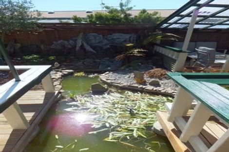 Photo of property in 38 Aintree Street, Bishopdale, Christchurch, 8051