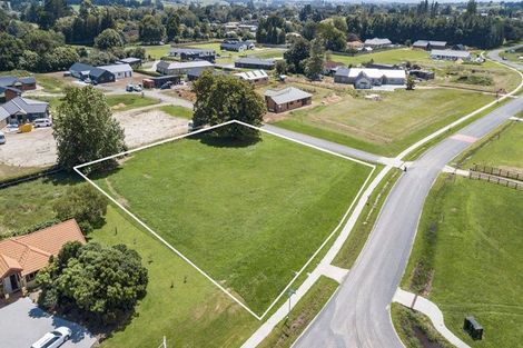 Photo of property in 800 Collinson Street, Pirongia, 3802