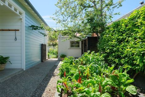 Photo of property in 29 Lynwood Avenue, Maori Hill, Dunedin, 9010