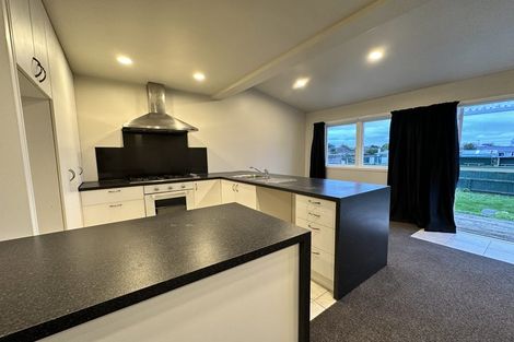 Photo of property in 17 Caius Avenue, Gonville, Whanganui, 4501