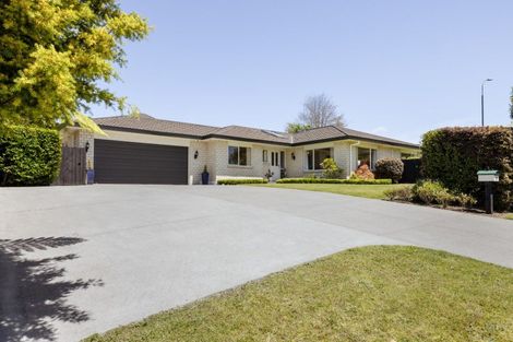 Photo of property in 95 Rowesdale Drive, Ohauiti, Tauranga, 3112