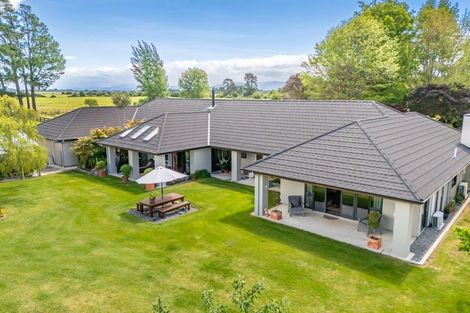 Photo of property in 41 Andrew Street, Kuripuni, Masterton, 5810