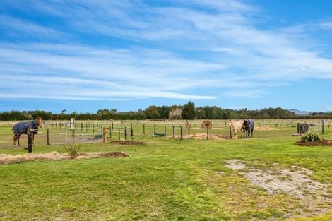 Photo of property in 856 Rang Leithfield Road, Leithfield, Amberley, 7481