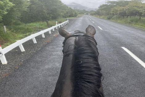 Photo of property in 387 Wentworth Valley Road, Whangamata, 3691