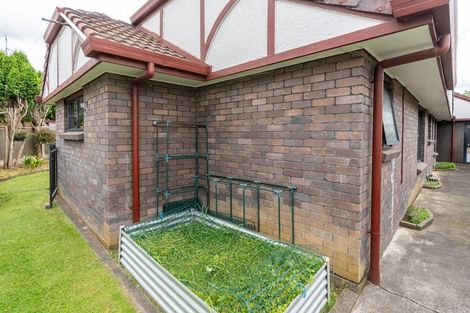 Photo of property in 21 Ellerslie Avenue, Chartwell, Hamilton, 3210