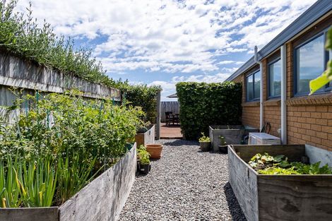 Photo of property in 14 Barrett Drive, Waikanae Beach, Waikanae, 5036