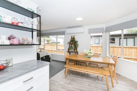 Photo of property in 8a Alison Street, Hamilton Lake, Hamilton, 3204