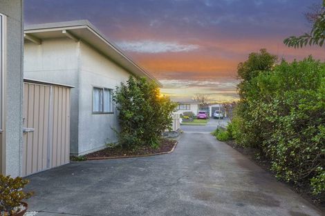 Photo of property in 19 Skerrett Crescent, Tamatea, Napier, 4112